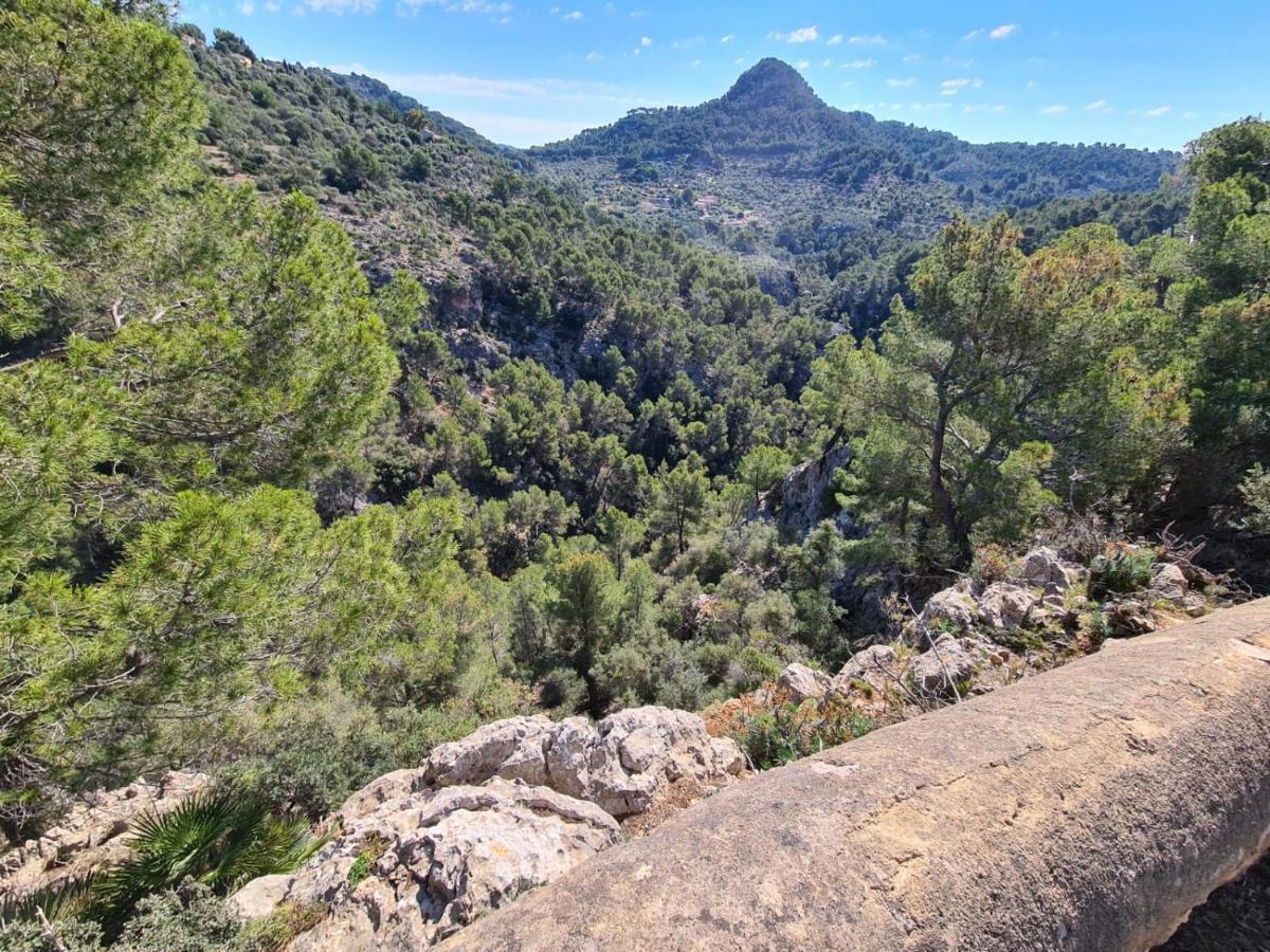 Wunderschoene Ruhige Finca Mit Pool In Galilea Galilea  Eksteriør billede