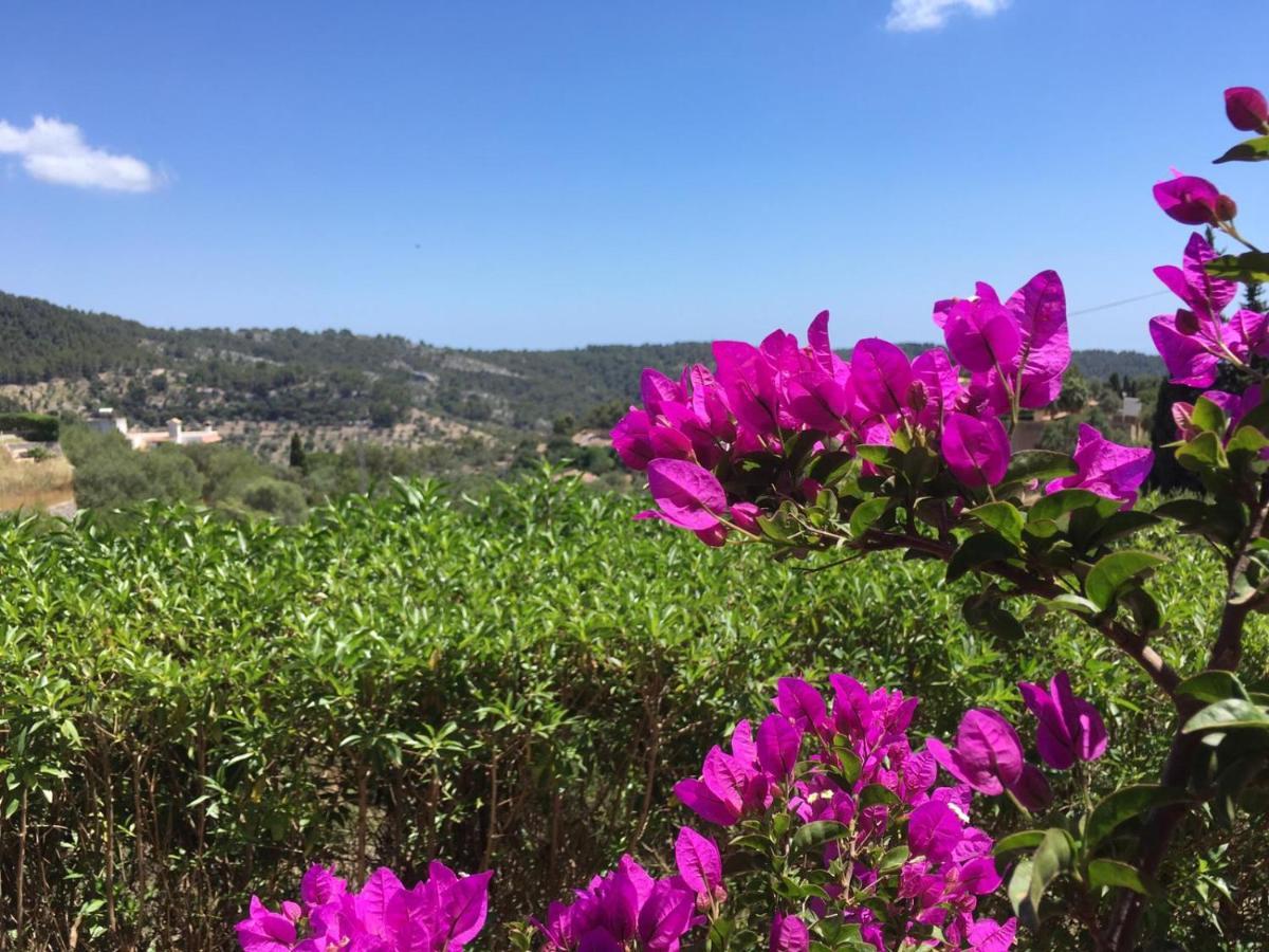 Wunderschoene Ruhige Finca Mit Pool In Galilea Galilea  Eksteriør billede