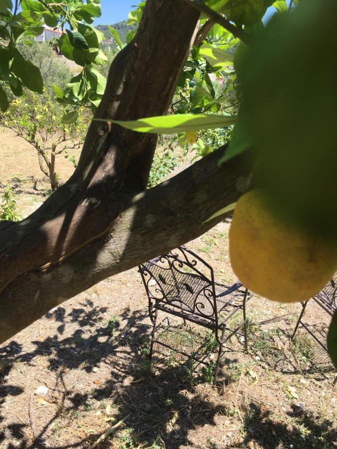 Wunderschoene Ruhige Finca Mit Pool In Galilea Galilea  Eksteriør billede